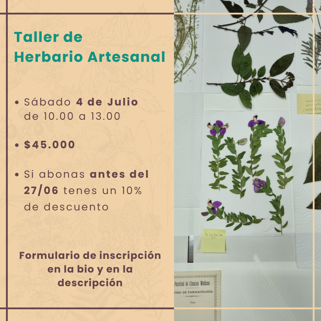 Biblioteca
